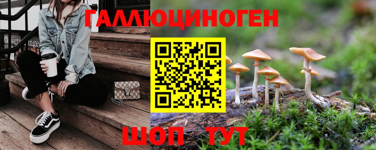 Галлюциногенные грибы мицелий Канаш