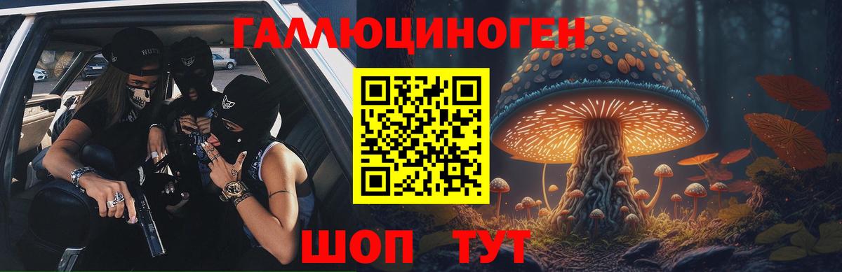Канаш  Псилоцибиновые грибы прущие грибы  Вход с VPN 